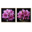 Singulier beauté des rhododendrons mauves I - ensemble de salon rhododendron-102579067-102579071