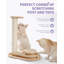 Plateau tournant pour chat 4Pets