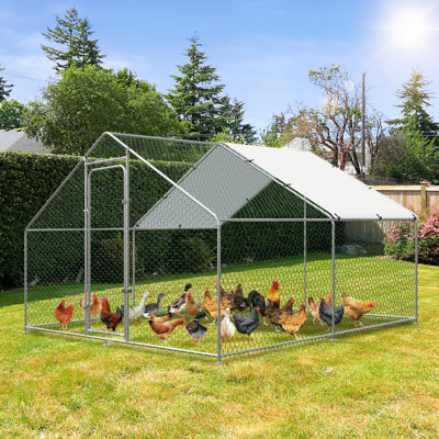 Denne Walk In Chicken Run