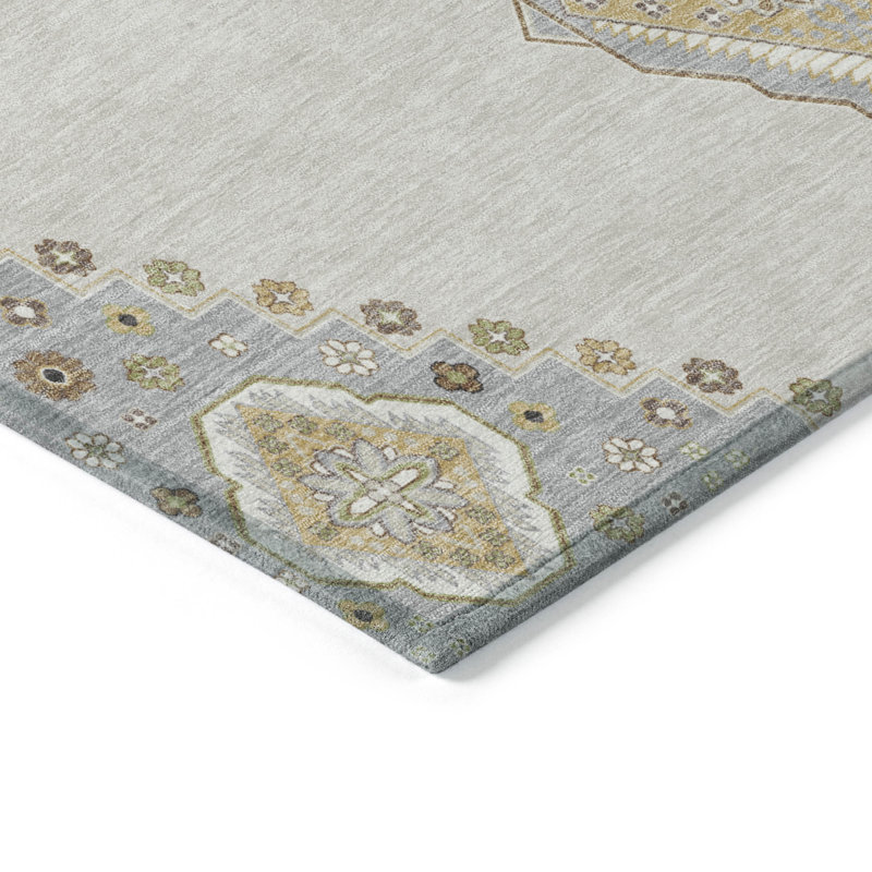 Machine Washable Indoor/Outdoor Chayden ACN1014 Rug, Rectangle 3' x 5'