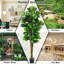 71'' Faux Fiddle Leaf Fig Tree in Planter
