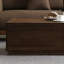 Table basse moderne simple en noyer noir
