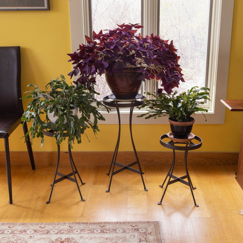 Bronze Iron Round Plant Stands with Curved Legs, Set of Three