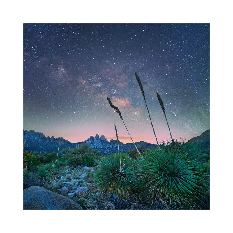 Agave And The Milky Way, Organ Mountains-Desert Peaks National Monument, New Mexico by Tim Fitzharris - Wrapped Canvas Print
