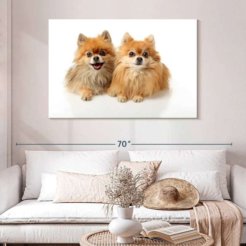 Crowle Posing Pomeranians, 32" H x 48" W