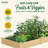 Katsuyoshi Wood Raised Garden Bed-689863008-689863015