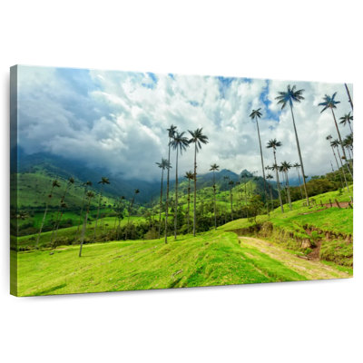 Alvord Cocora Valley