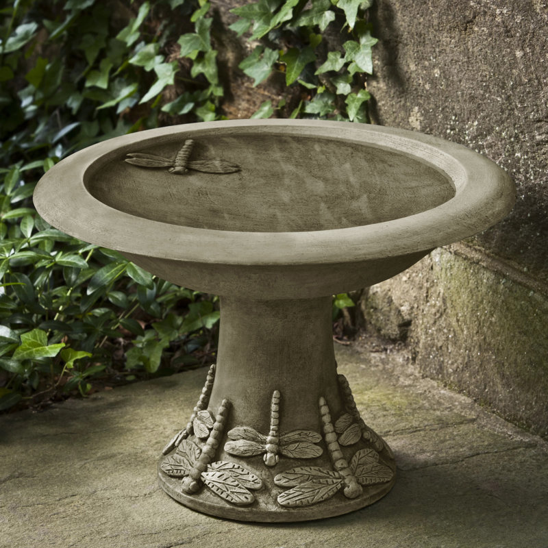Petit bain d'oiseaux libellule, Vert