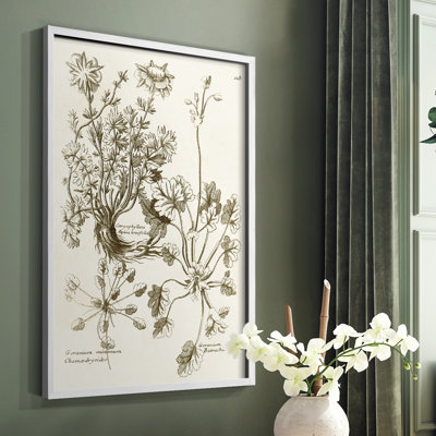 «Sepia Botanical Journal», reproduction encadrée en bois massif