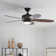 Nyxton 52'' Ceiling Fan with LED Lights