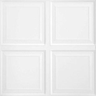 RAISED PANEL 2 ft. x 2 ft. Drop-In Mineral Fiber Ceiling Tile in White (Set of 6)