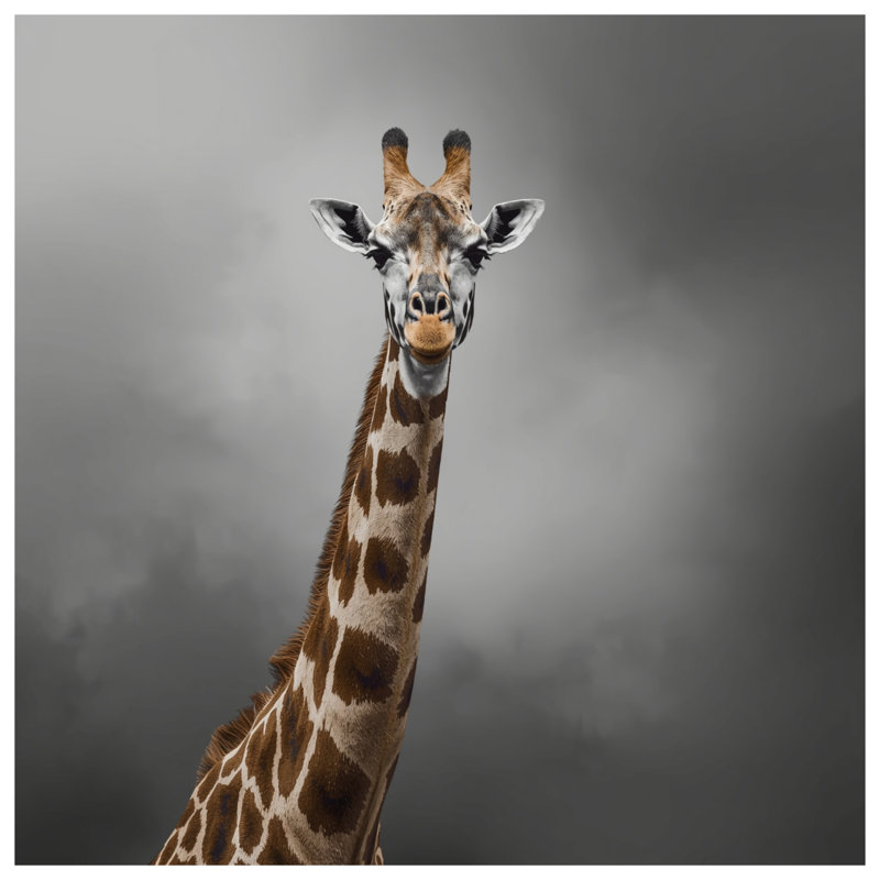 Giraffe With Long Neck Comforter, Twin Extra Long