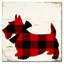 "Jadaya Scotty I" par Color Bakery, impression sur toile tendue-20507674