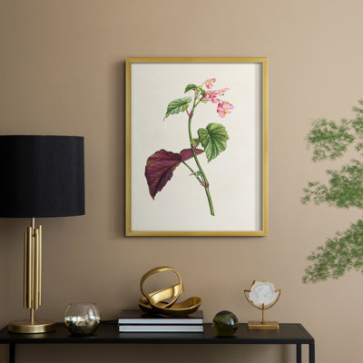 Pretty Pink Botanicals VI Framed Print - Solid Wood