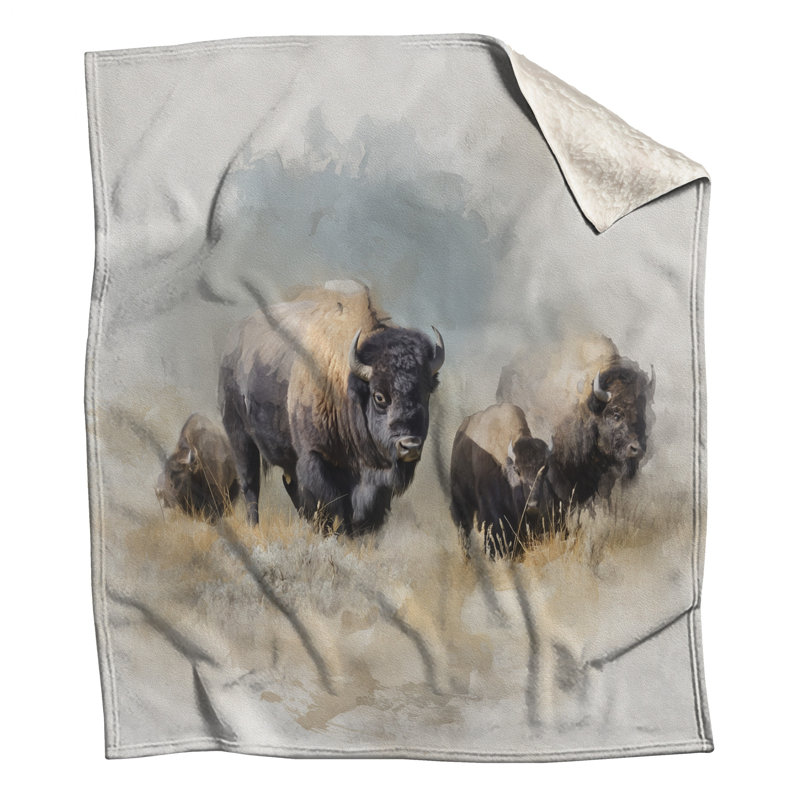 Couvertures Bison, L 50 po x H 60 po