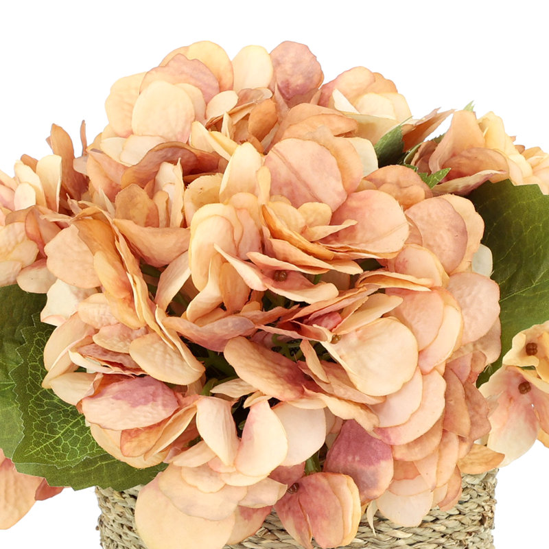 Arrangement floral d'hortensias d'automne Carytown, Rose / Pêche