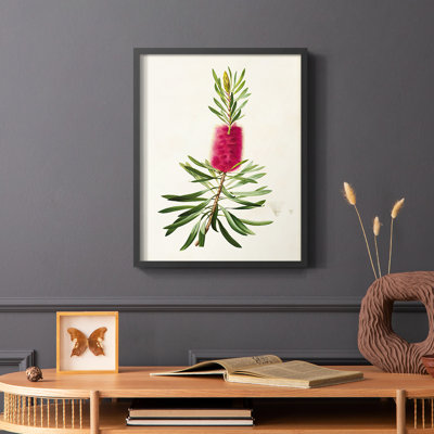 Pretty Pink Botanicals VII Framed Print - Solid Wood