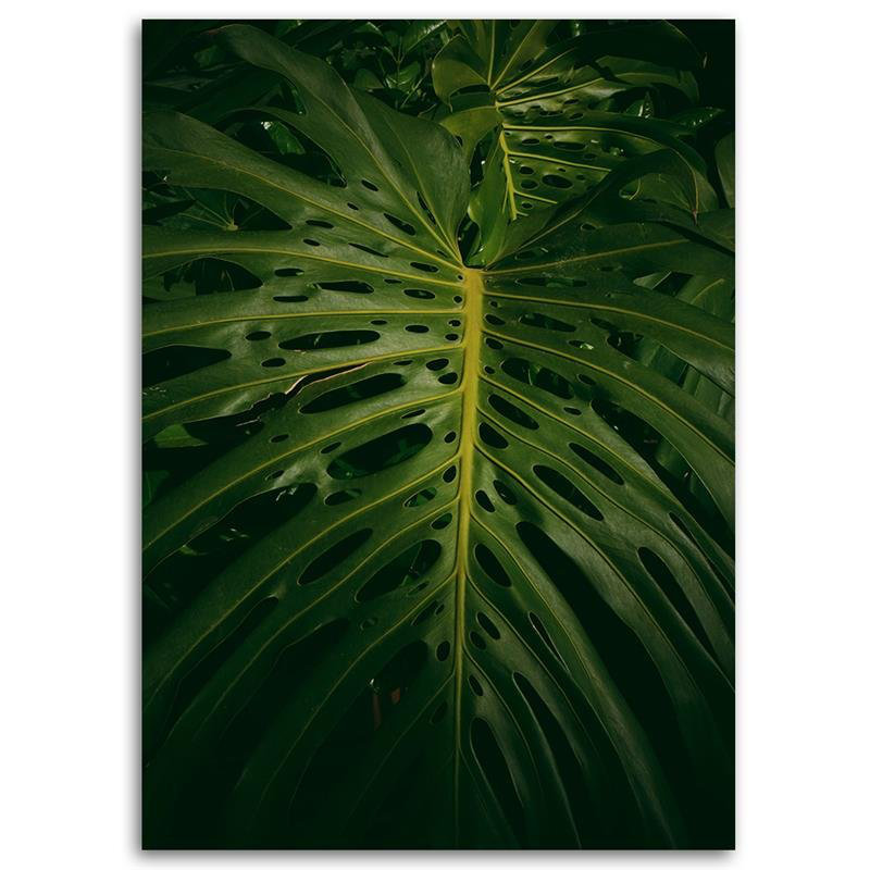 Leinwandbild Exotic Vegetation Leaf