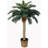 Faux Palm Tree in Wicker/Rattan Basket-1742963075