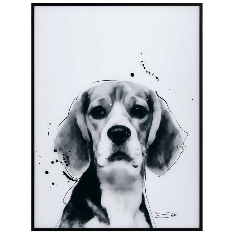 Beagle, encadré sur verre par Jodi P, impression