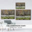 Bayou Fall, reproduction d'art sur toile-94355821-94355823