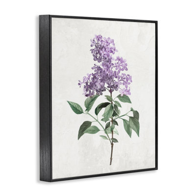 Lilac Herb Blossoms Framed Giclee, design by Kim Allen