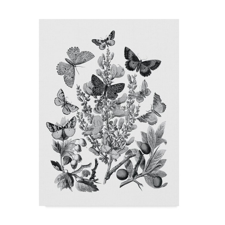 Butterfly Bouquet – laboutique