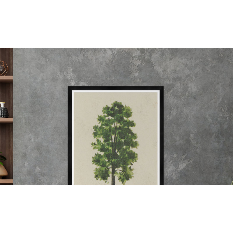 Meadow Tree Print by Tim Klein