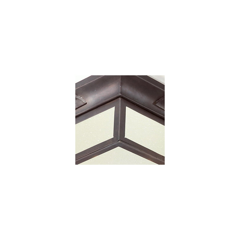 Newton 2 - Light Flush Mount, 60W Medium Base, Clear Seeded
