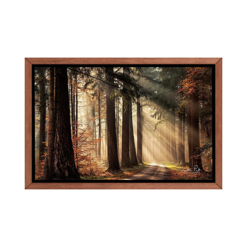 «Fresh Autumn Light» par Martin Podt - reproduction d'art, H 26 po x l 40 po x 1,5 po, Toile avec cadre en bois classique