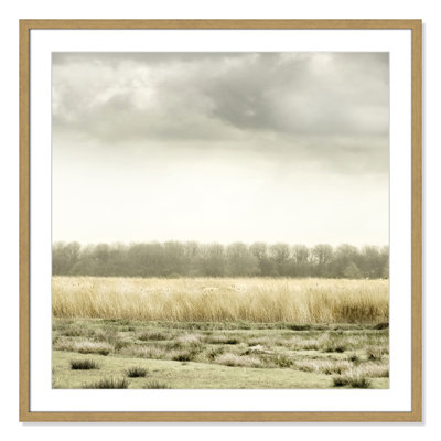 Henri "Meadowland" Print by Danita Delimont