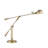 Rishika Metal Desk Lamp-1762515623