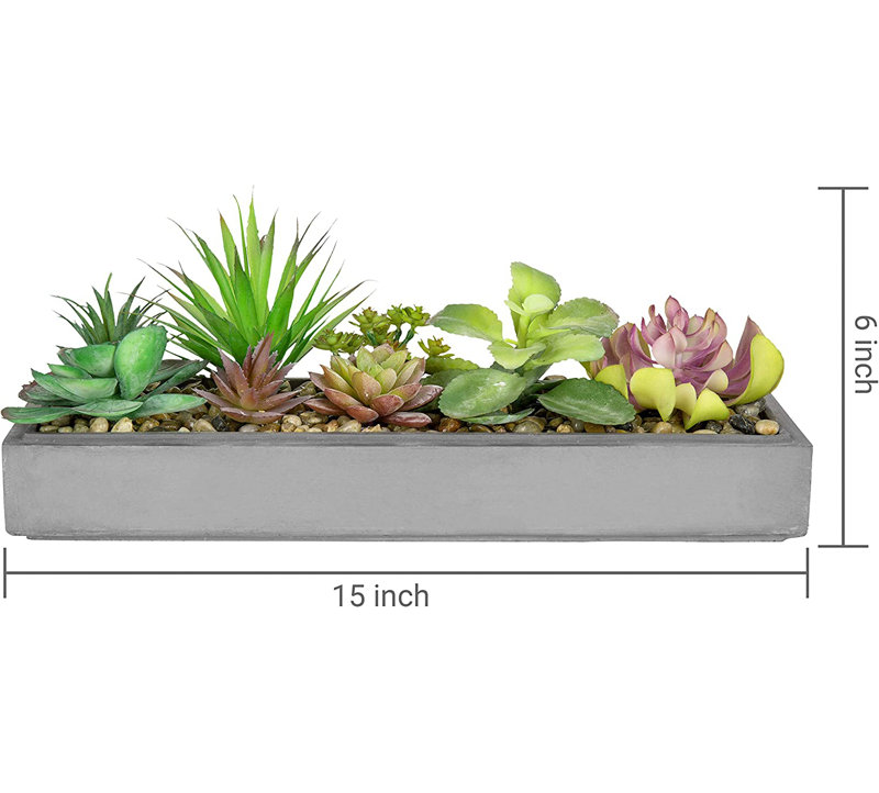 Fausse plante grasse de 6 po en pot de ciment