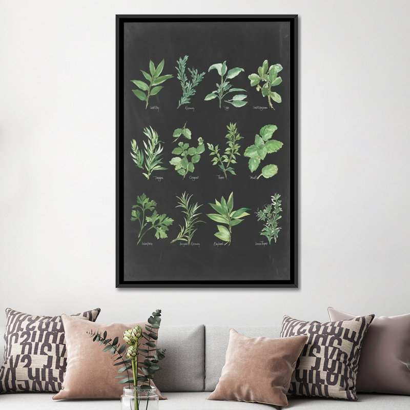 « herb chart ii », reproduction d’art sur toile, H 26 po x l 18 po x P 1,5 po, Toile avec cadre noir, Pas de tapis