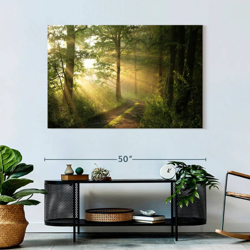 Alvord Forest Road - soleil, H 32 po x l 48 po
