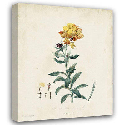 Art sur toile tendue Astoria Grand de Langlois, Traditional Botanical III
