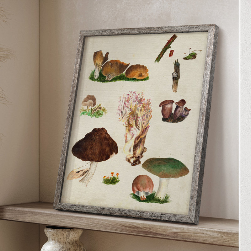 Reproduction encadrée Mushroom Species IX - bois massif, H 30 po x l 24 po