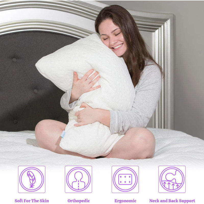 Akhavi Memory Foam Plush Support Pillow, Queen