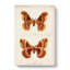 Promethea Silk Moth by S.F. Denton - Wrapped Canvas-55322516