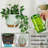 Plant Hangers with Pots and Saucers-2058980084