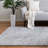 Indoor Rug-1811778922