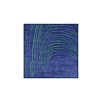 Machine Washable Blue Area Rug