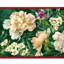 Bordure de sentier Daniely