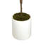 Organic Modern 4' Faux Fiddle Leaf Tree