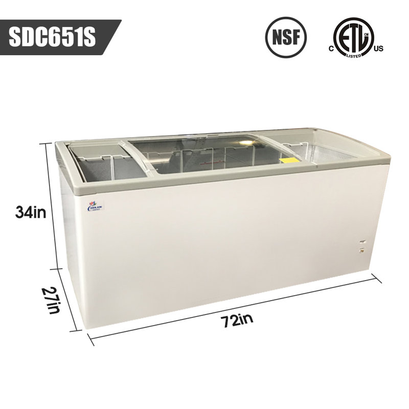 19 pieds cubes Congélateur de marchandisage