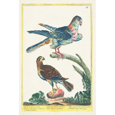 Pastel Birds III - Art Prints