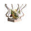 42cm Battery Powered Integrated LED Decorative Accent