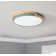 LED Flush Mount