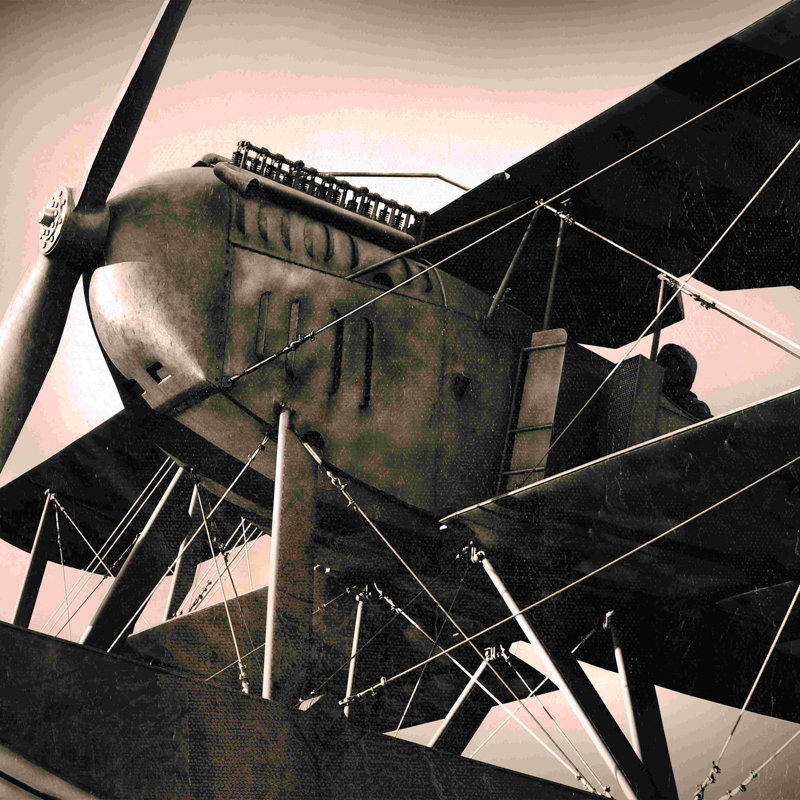 «Old Time Plane», reproduction sur toile tendue, L 12 po x H 12 po