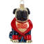 Pug Fawn in Bath Robe "Still Live with Parents"